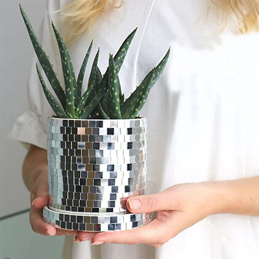 "CrystalSquare Indoor Flora Vase"